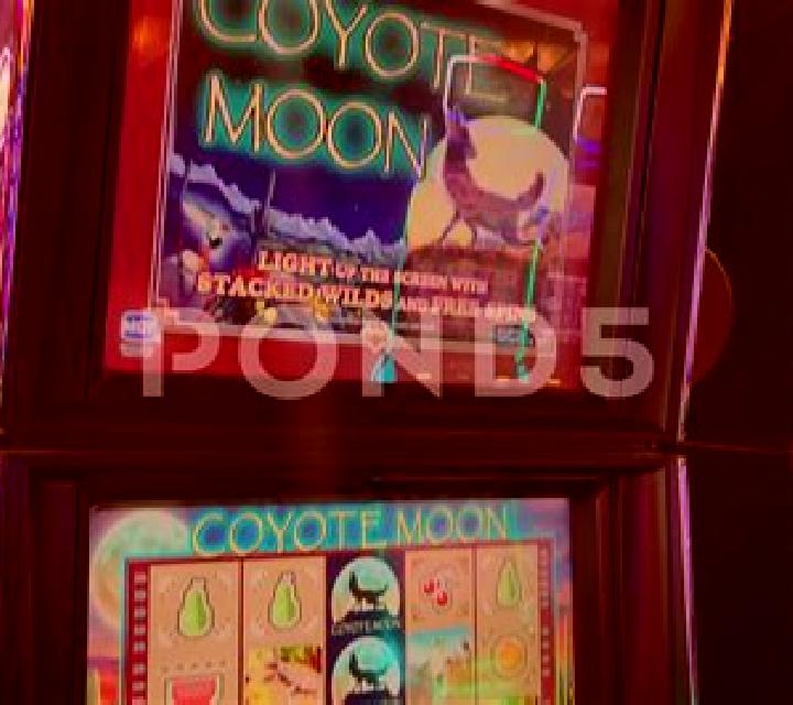 Coyote Gems slot machine