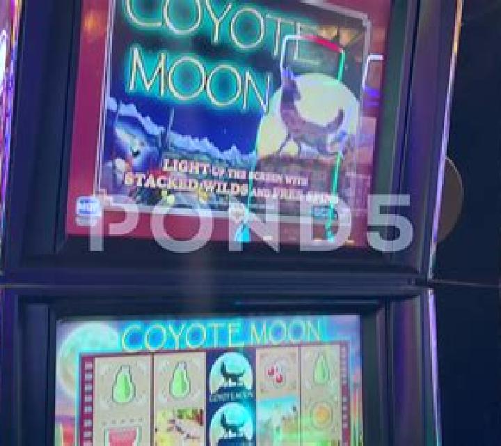 Coyote Gold slot machine
