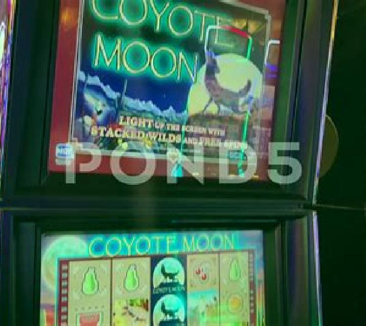 Coyote Moon online slot