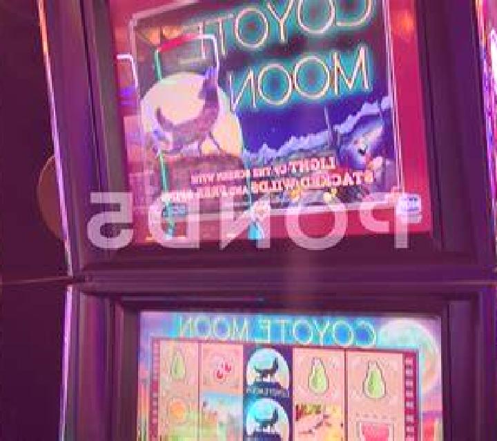 Coyote Sevens Jackpot online slot