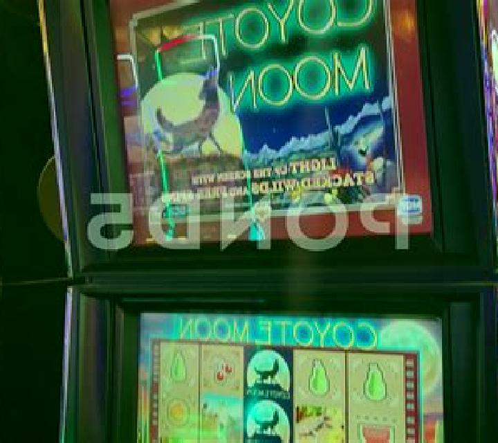 Coyote Sevens slot game