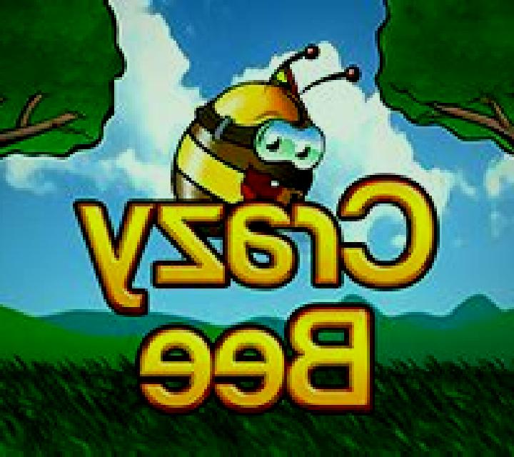 Crazy Bee slot game