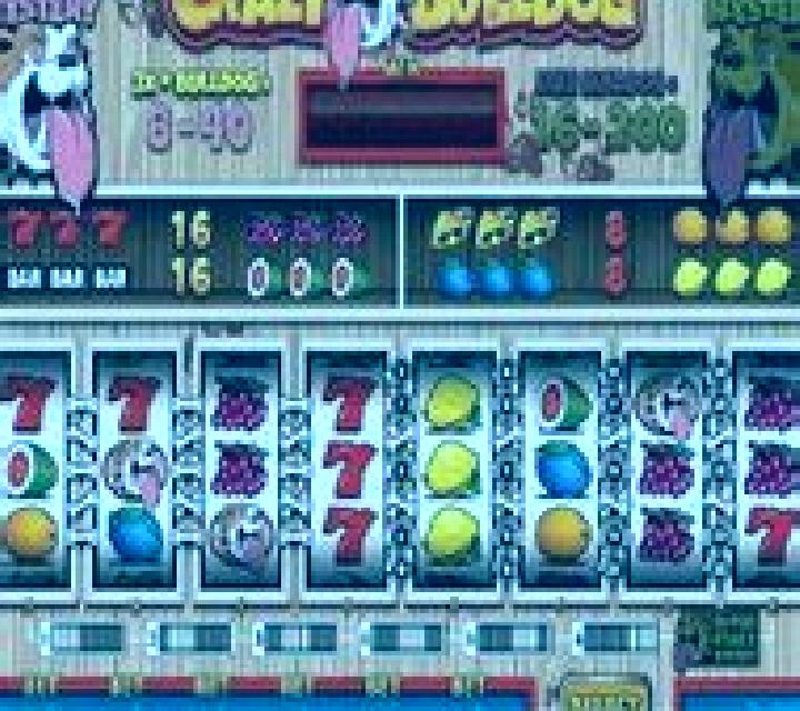 Crazy Bulldog slot game