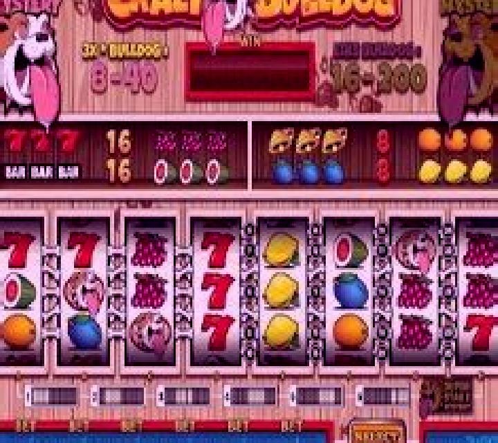 Crazy Bulldog slot