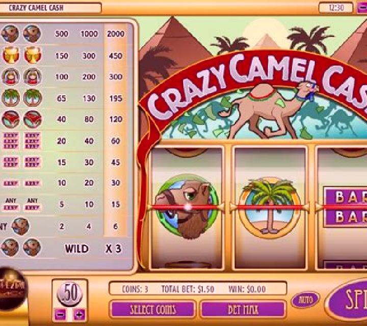 Crazy Camel Cash online slot