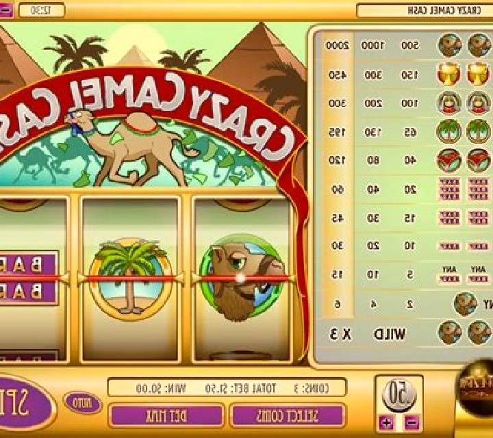 Crazy Camel Cash slot game