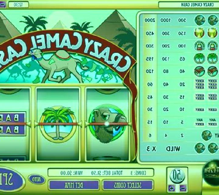 Crazy Camel Cash slot machine