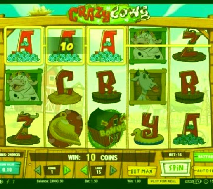 Crazy Cows slot