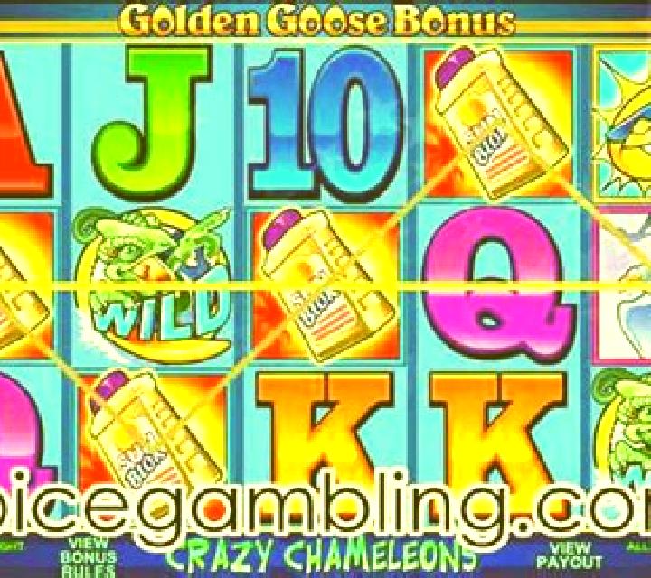 Crazy Goose online slot