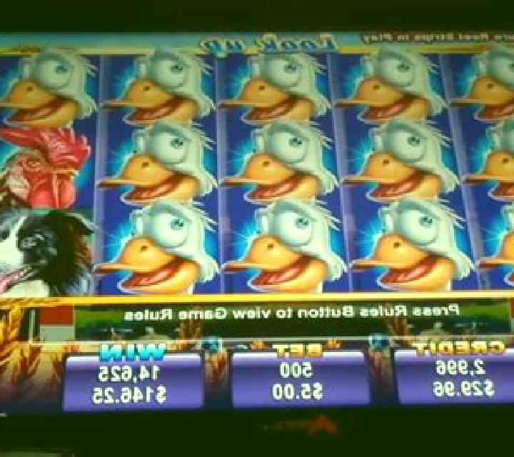 Crazy Goose slot game