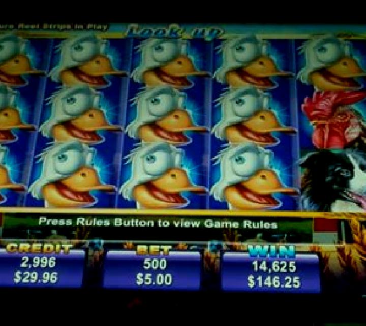 Crazy Goose slot machine