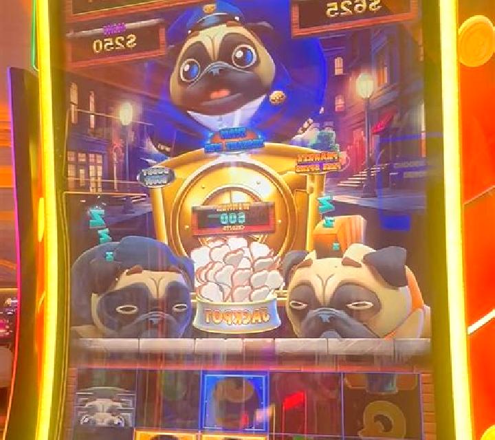Crazy Pug online slot
