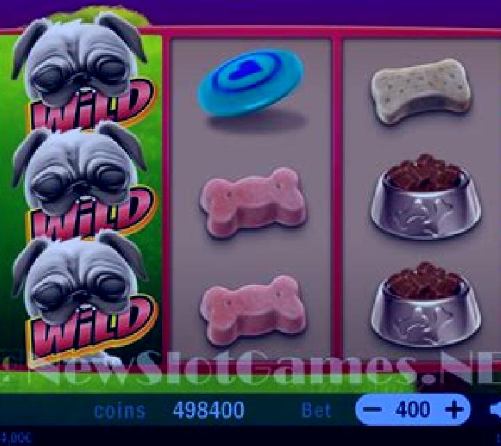 Crazy Pug slot game