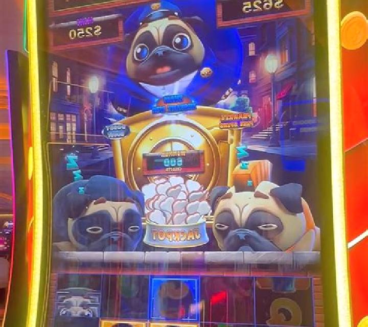 Crazy Pug slot machine