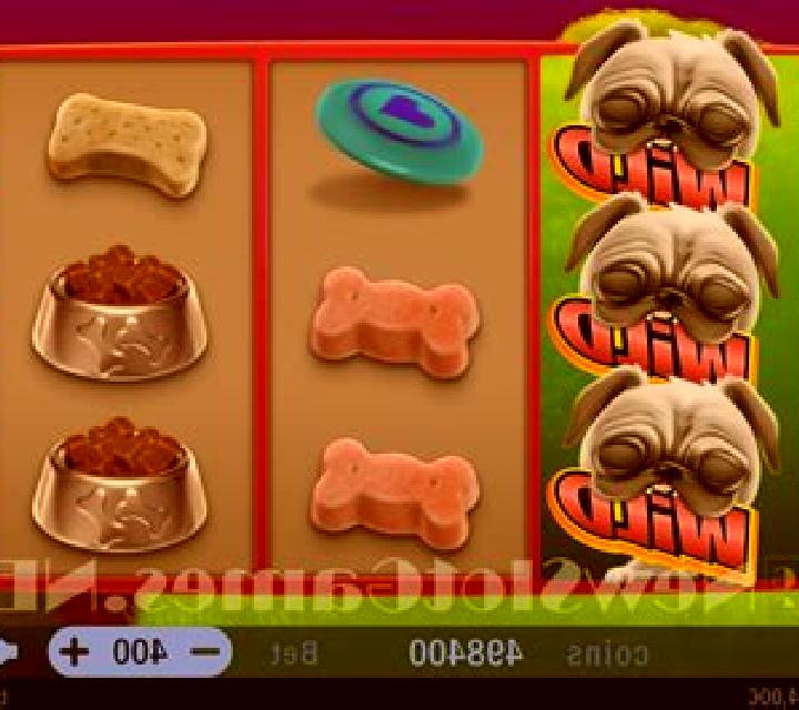 Crazy Pug slot