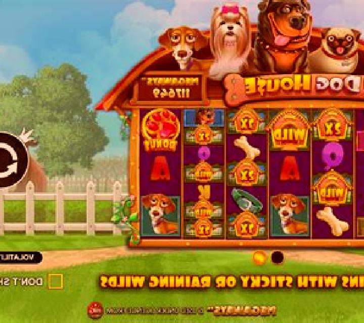Crypto Crash (Party House) slot machine