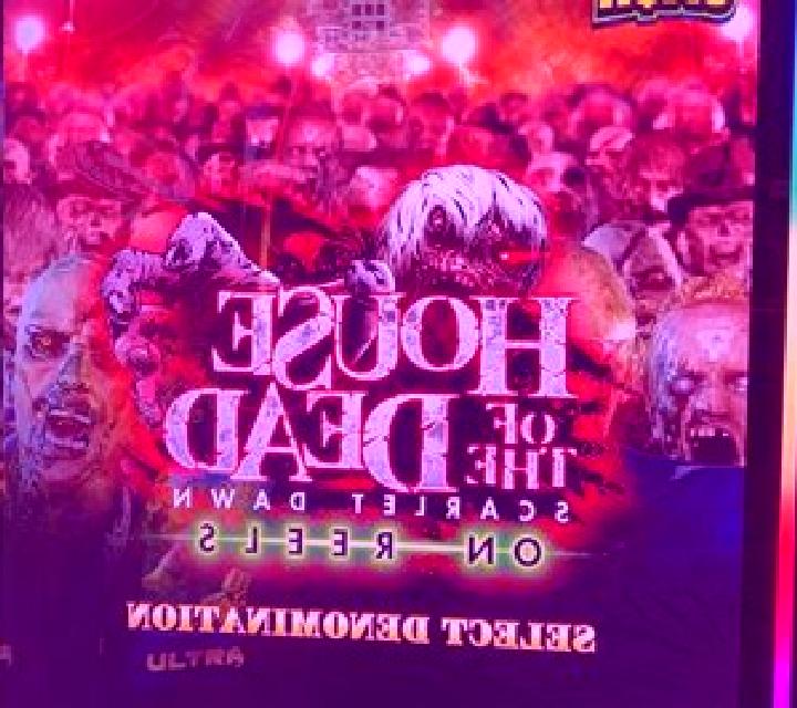 Curse of the Dead slot