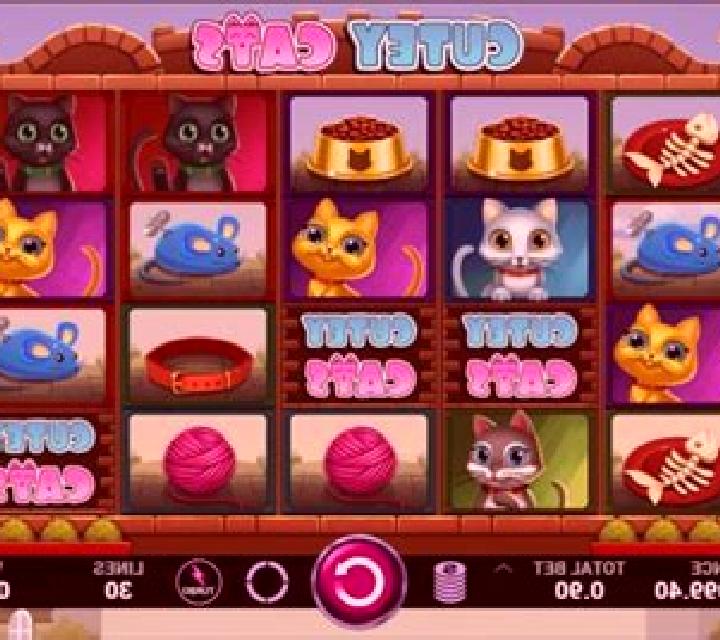Cutey Cats slot