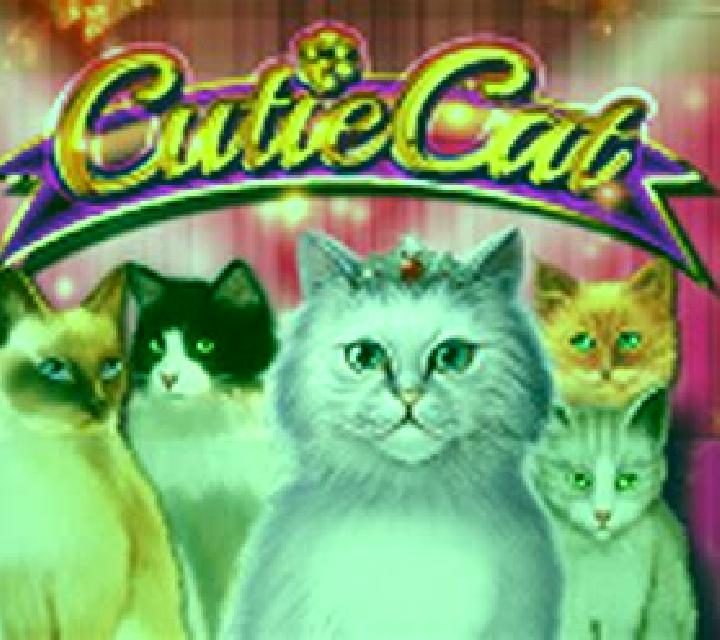 Cutie Cat slot machine