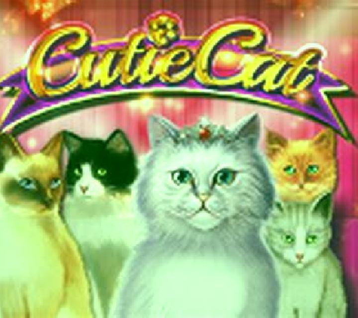 Cutie Cat slot