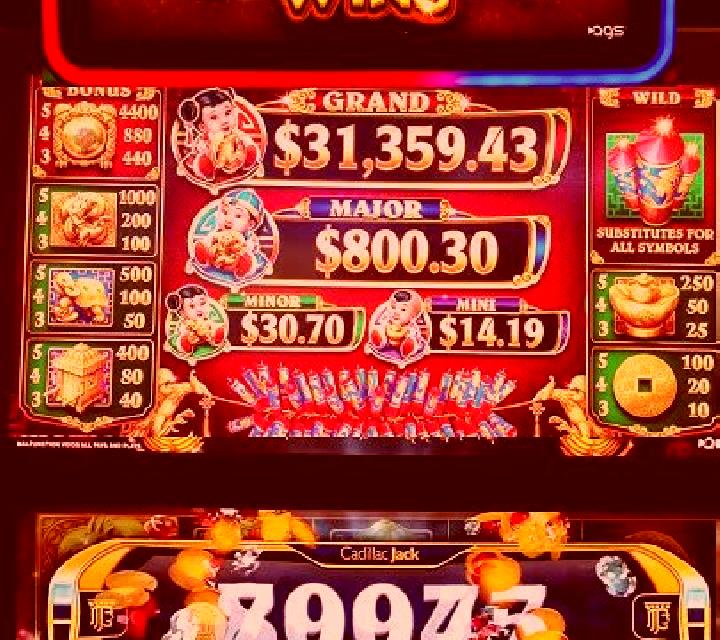 Daji slot machine