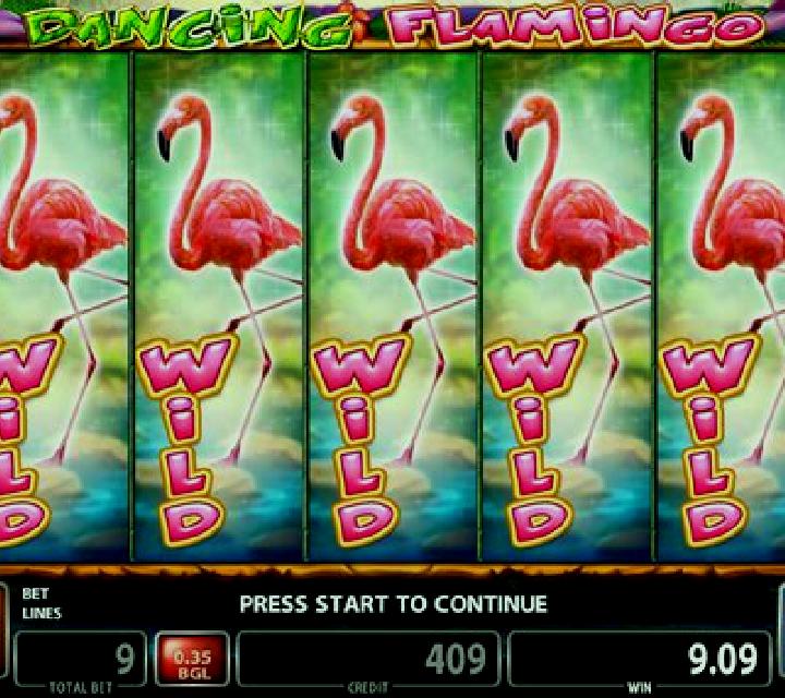 Dancing Flamingo slot machine