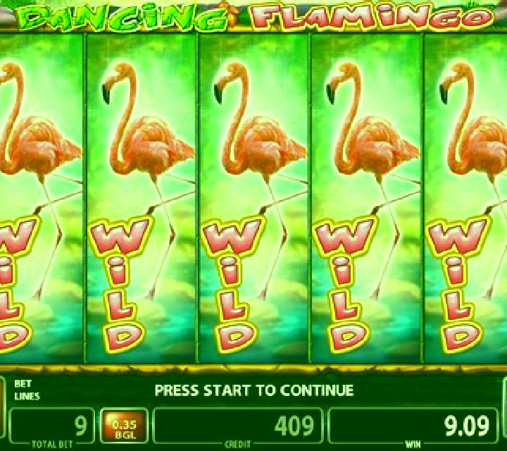 Dancing Flamingo slot