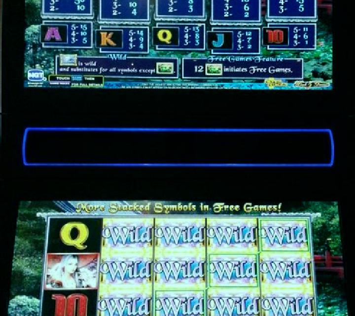 Dangerous Beauty slot game