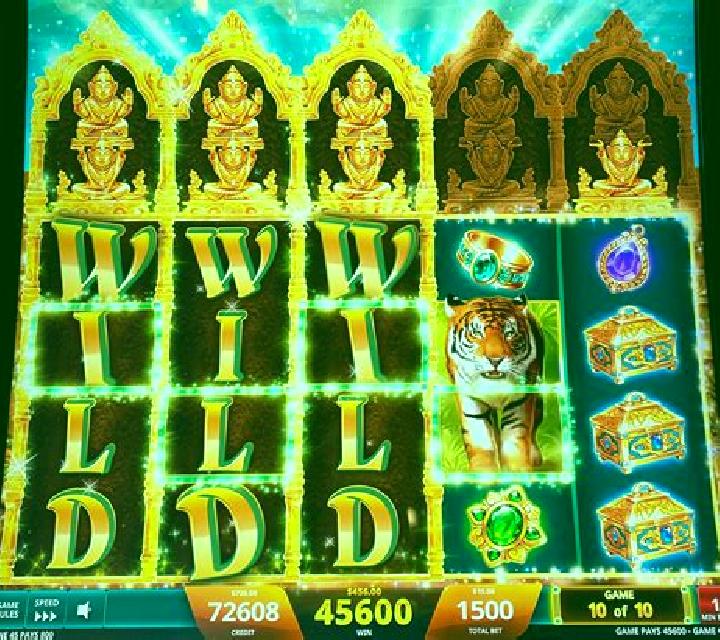 Dark Jungle slot machine