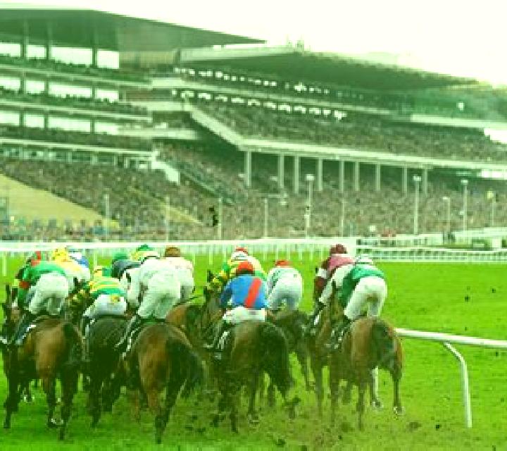 Day at the Races slot game