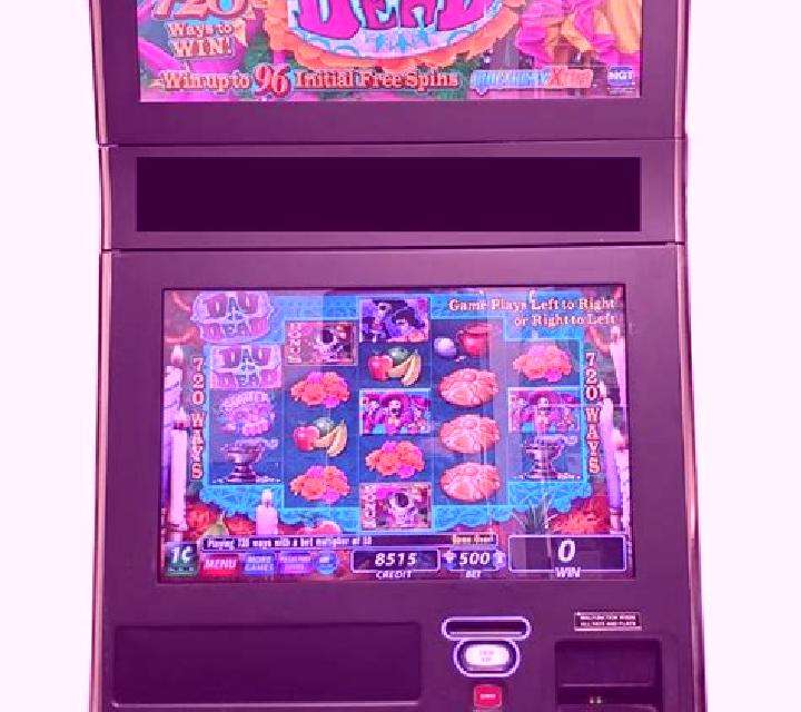 Day of the Dead (IGT) online slot