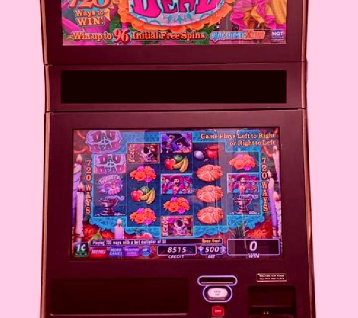 Day of the Dead (IGT) slot game