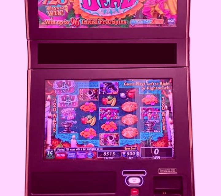 Day of the Dead (IGT) slot machine