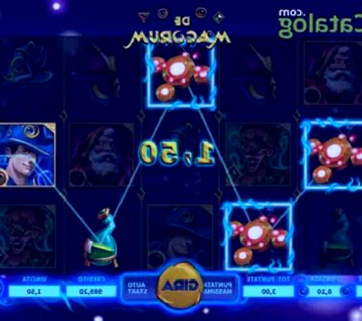 De Magorum slot