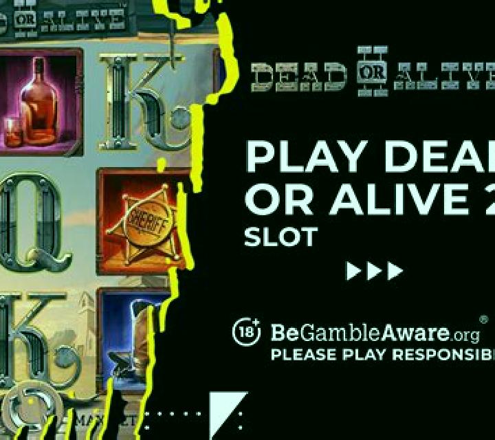 Dead or Alive 2 slot