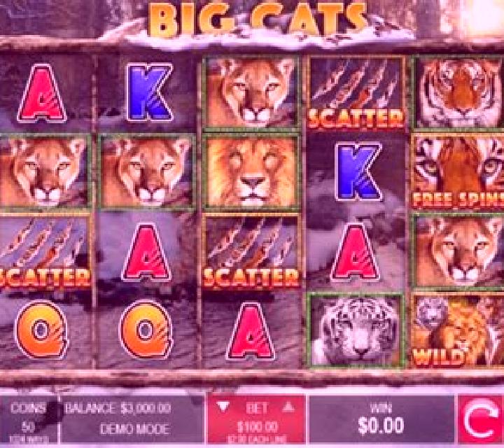 Desert Cats online slot