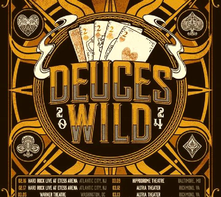 Deuces Wild (FBM Digital Systems) slot machine