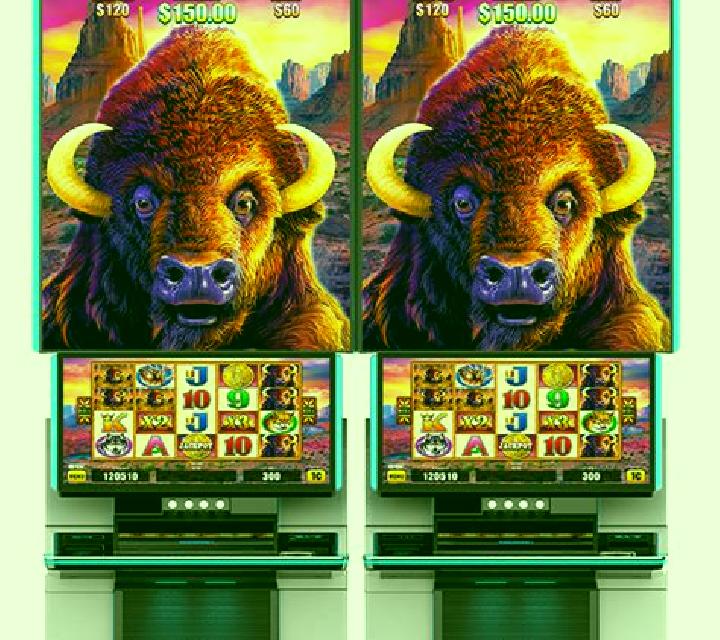 Diamond Link Mighty Buffalo slot machine