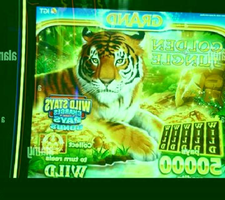 Diego Wild Search for the Hidden Tiger slot machine