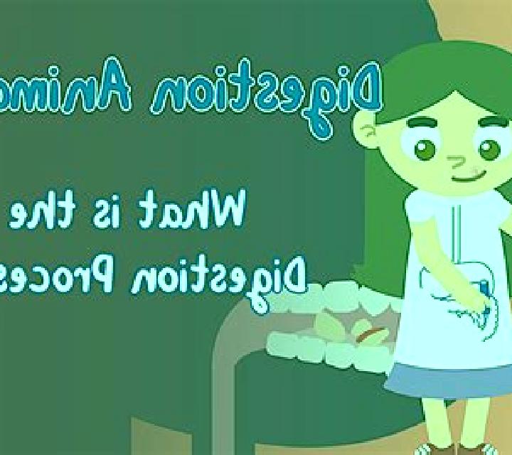 Digestion online slot