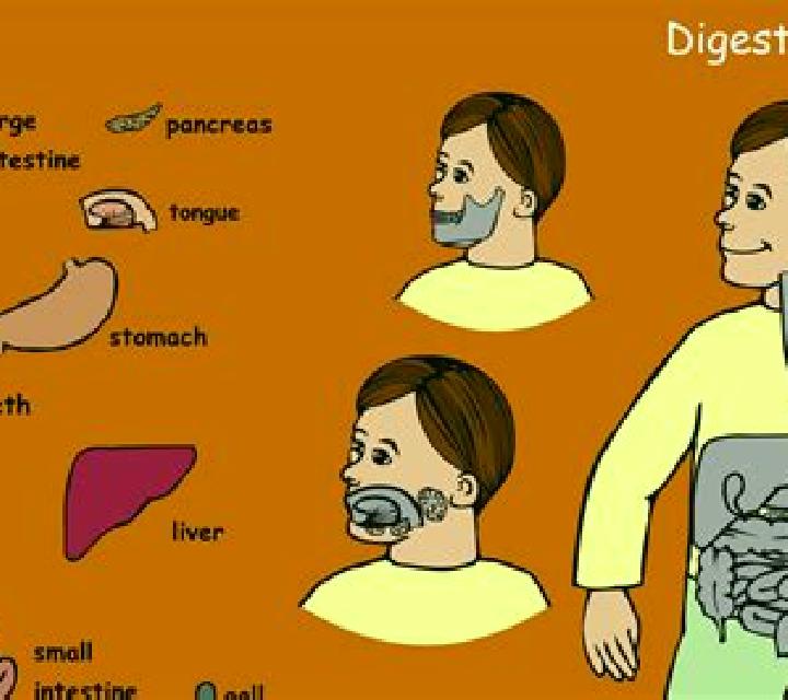 Digestion slot game
