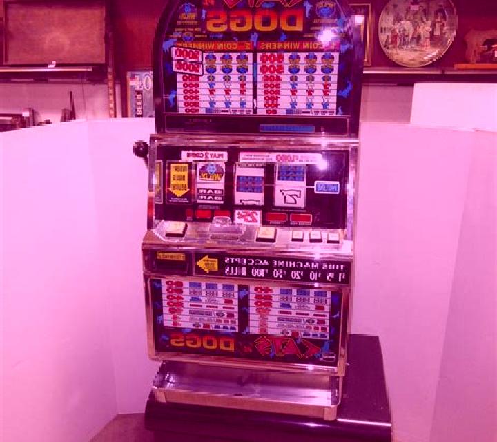 Diner Dogs slot
