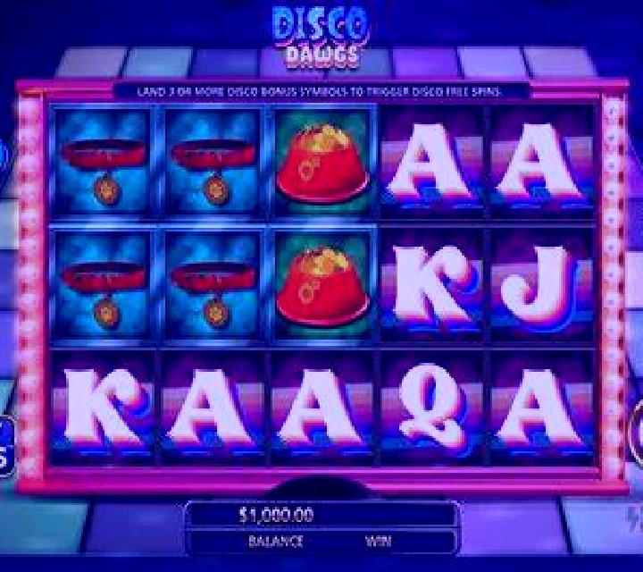 Disco Dawgs slot