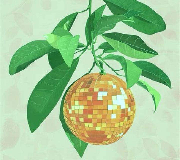 Disco Fruits (NetGame) slot game