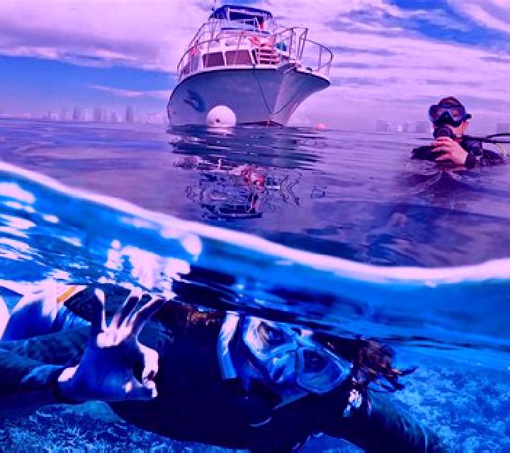 Divers Paradise online slot