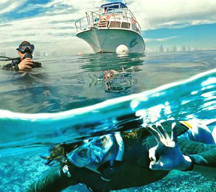 Divers Paradise slot game