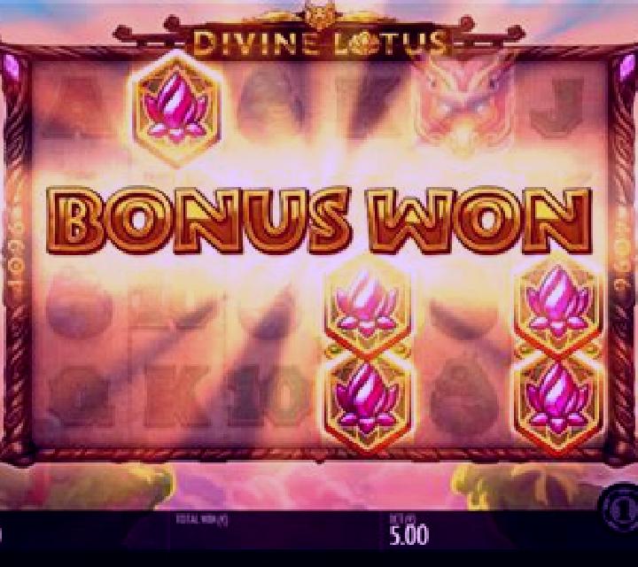 Divine Lotus slot