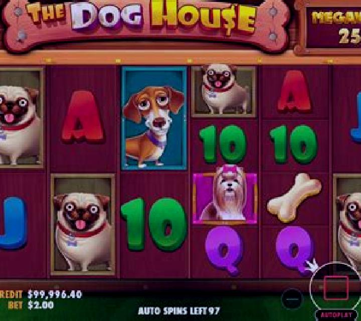 DJ Dog slot machine