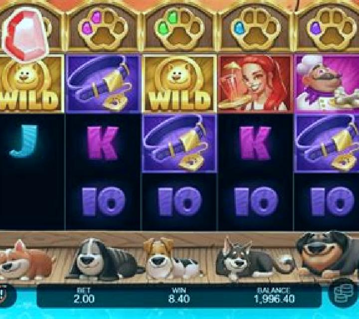 Dog Days slot