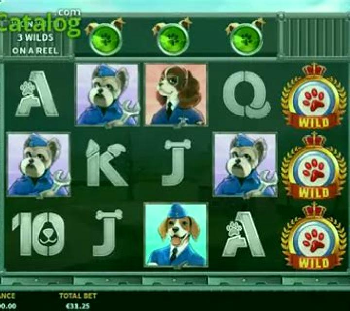 Dog Fighters – Their Finest Hour slot